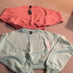Wild fable Women's Pink and Mint Sweaters